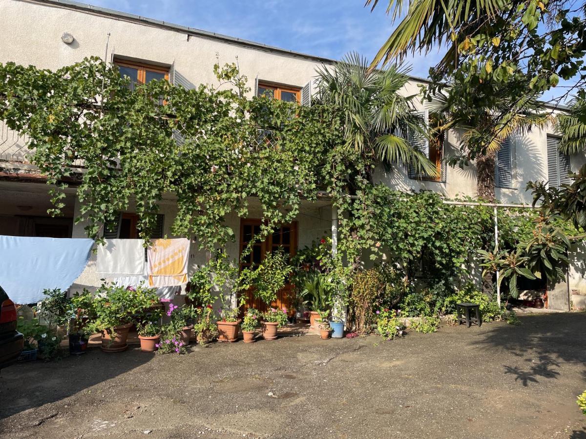 Guesthouse Georgia Sagarejo ภายนอก รูปภาพ