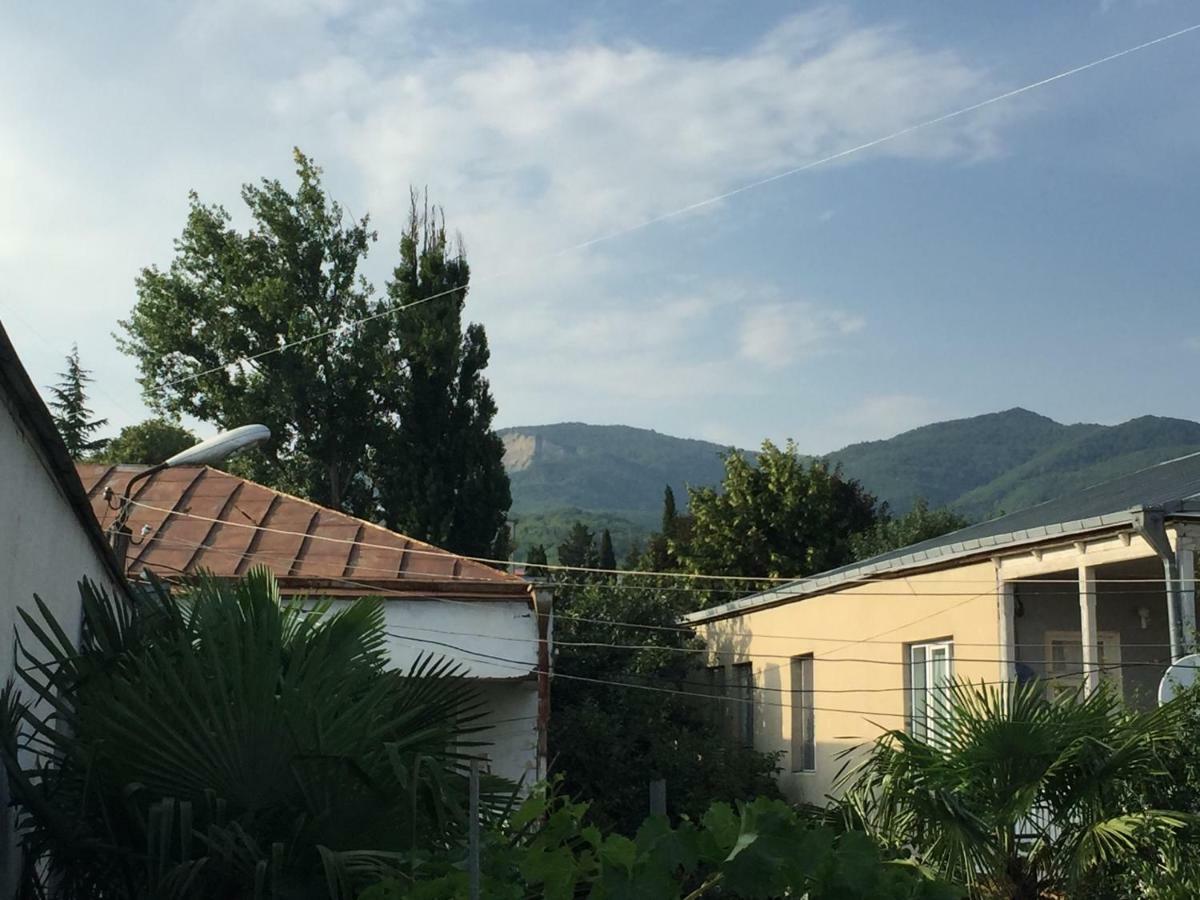 Guesthouse Georgia Sagarejo ภายนอก รูปภาพ